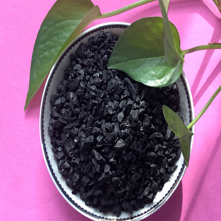 椰壳